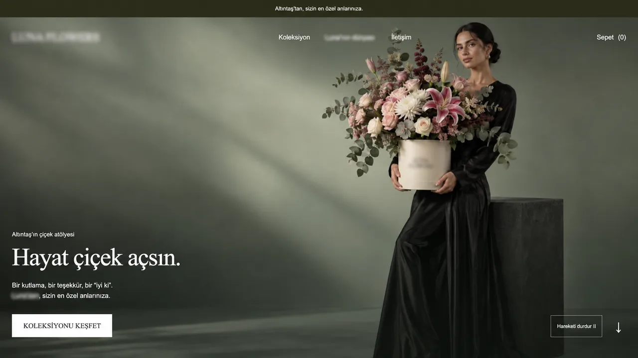 portfolio-img